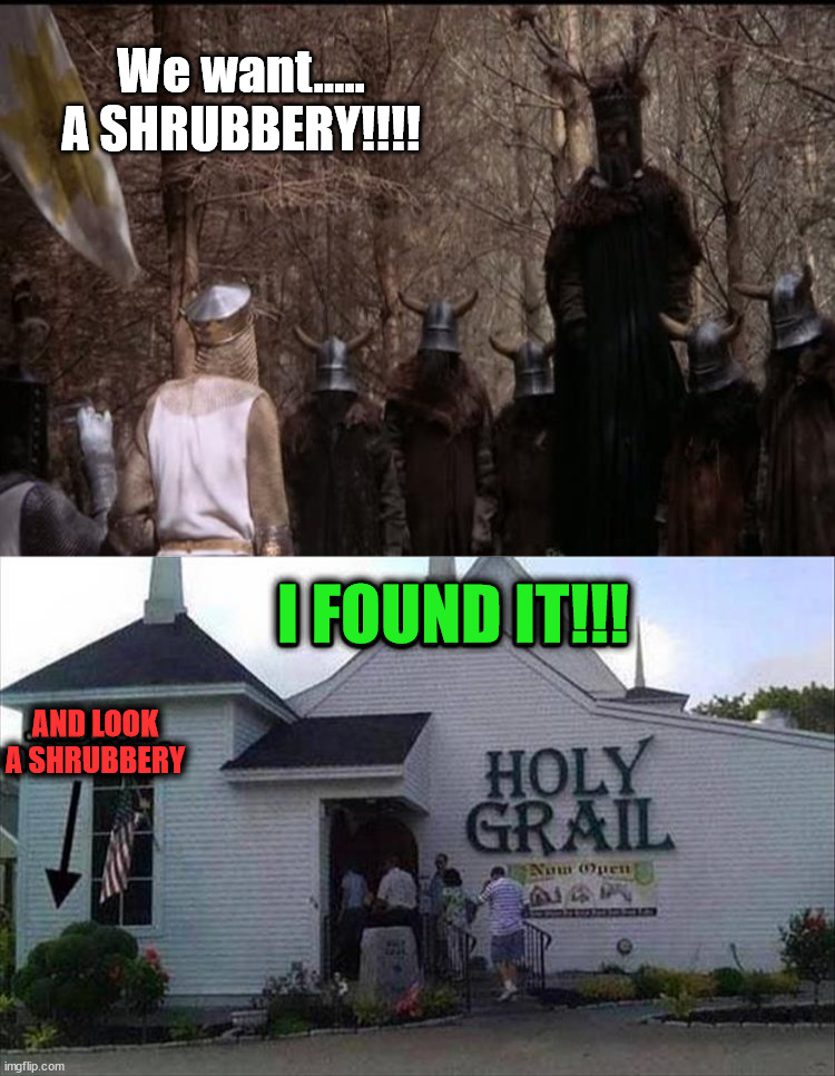  We want..... A SHRUBBERY!!!! I FOUND IT!!! AND LOOK
A SHRUBBERY | image tagged in knights who say ni,shrubbery | made w/ Imgflip meme maker
