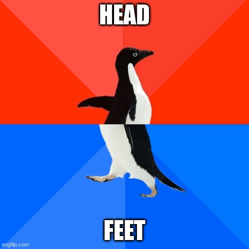 Socially Awesome Awkward Penguin Meme | HEAD; FEET | image tagged in memes,socially awesome awkward penguin | made w/ Imgflip meme maker