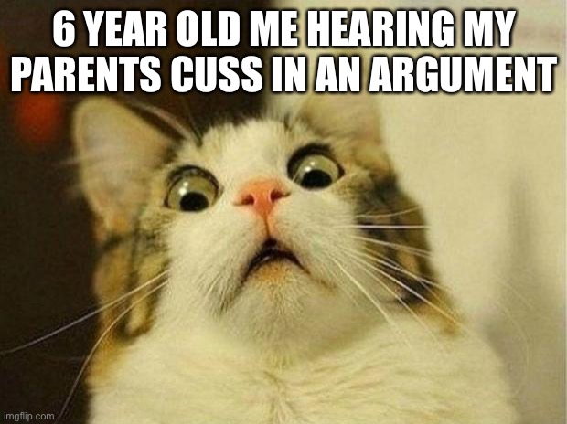 Scared Cat | 6 YEAR OLD ME HEARING MY PARENTS CUSS IN AN ARGUMENT | image tagged in memes,scared cat | made w/ Imgflip meme maker