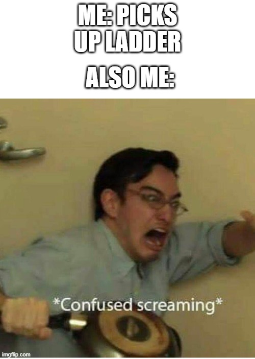 confused screaming | ALSO ME:; ME: PICKS UP LADDER | image tagged in confused screaming | made w/ Imgflip meme maker