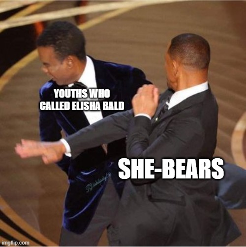 She-Bears | YOUTHS WHO CALLED ELISHA BALD; SHE-BEARS | image tagged in christian memes | made w/ Imgflip meme maker