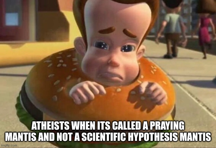 ATHEISTS WHEN ITS CALLED A PRAYING MANTIS AND NOT A SCIENTIFIC HYPOTHESIS MANTIS | made w/ Imgflip meme maker