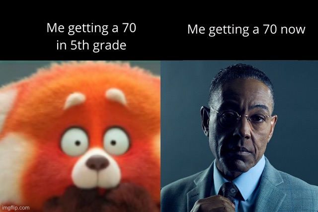 image tagged in memes | made w/ Imgflip meme maker