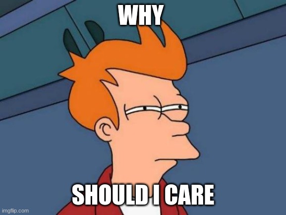WHY SHOULD I CARE | image tagged in memes,futurama fry | made w/ Imgflip meme maker