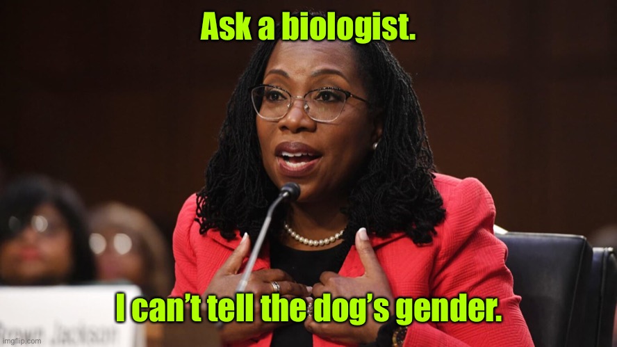 Ketanji Brown Jackson | Ask a biologist. I can’t tell the dog’s gender. | image tagged in ketanji brown jackson | made w/ Imgflip meme maker