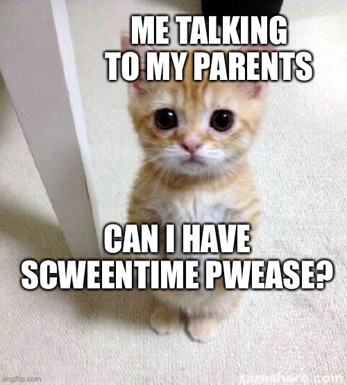 Me | ME TALKING TO MY PARENTS; CAN I HAVE SCWEENTIME PWEASE? | image tagged in memes,cute cat | made w/ Imgflip meme maker