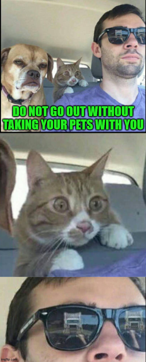 DO NOT GO OUT WITHOUT TAKING YOUR PETS WITH YOU | image tagged in dark humor | made w/ Imgflip meme maker