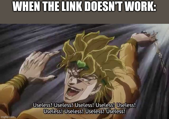 . | WHEN THE LINK DOESN'T WORK: | made w/ Imgflip meme maker