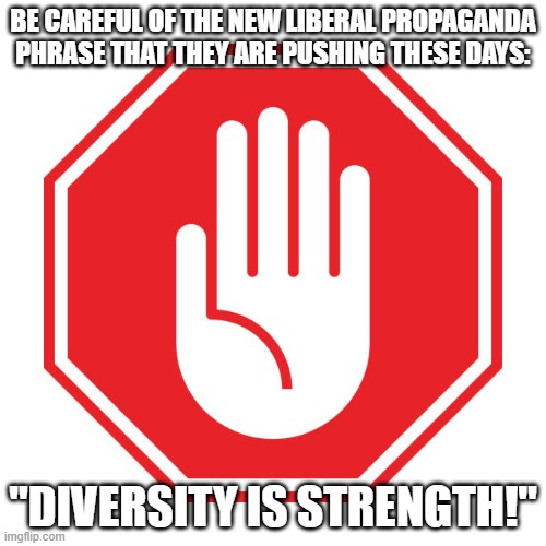 No Wonder Why The Meme "Get Woke Go Broke" Exists. "Diversity Is Strength" My Ass! | BE CAREFUL OF THE NEW LIBERAL PROPAGANDA
PHRASE THAT THEY ARE PUSHING THESE DAYS:; "DIVERSITY IS STRENGTH!" | image tagged in kiss my ass,be careful,liberals,libtards,diversity,strength | made w/ Imgflip meme maker