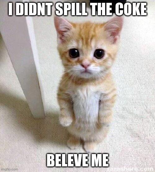 Cute Cat | I DIDNT SPILL THE COKE; BELEVE ME | image tagged in memes,cute cat | made w/ Imgflip meme maker