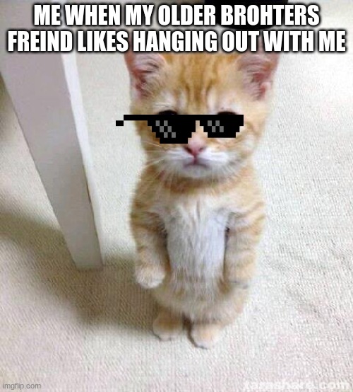 Cute Cat Meme | ME WHEN MY OLDER BROTHERS FRIEND LIKES HANGING OUT WITH ME | image tagged in memes,cute cat | made w/ Imgflip meme maker
