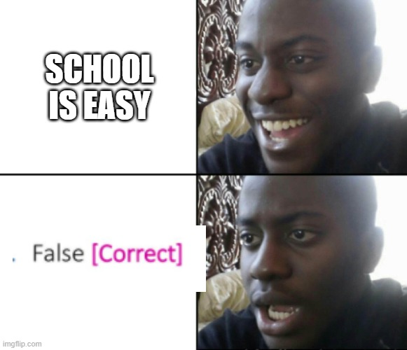 School is Easy | SCHOOL IS EASY | image tagged in happy / shock | made w/ Imgflip meme maker