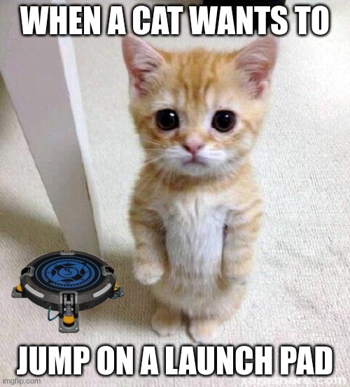 Cute Cat | WHEN A CAT WANTS TO; JUMP ON A LAUNCH PAD | image tagged in memes,cute cat | made w/ Imgflip meme maker