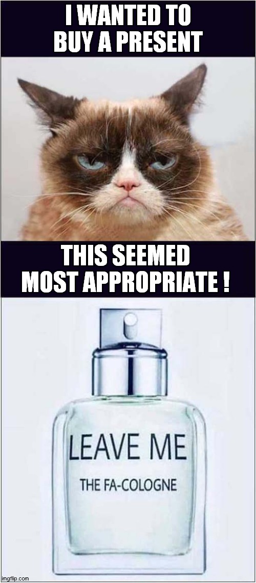 Grumpy Cat Says It's The Thought That Counts | I WANTED TO BUY A PRESENT; THIS SEEMED MOST APPROPRIATE ! | image tagged in cats,grumpy cat,presents,cologne | made w/ Imgflip meme maker