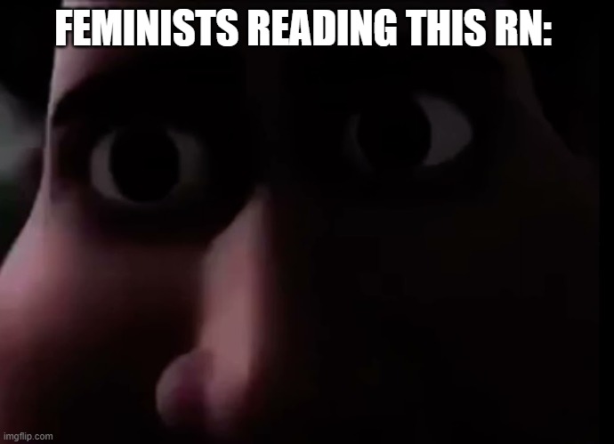 snotty boy stare | FEMINISTS READING THIS RN: | image tagged in snotty boy stare | made w/ Imgflip meme maker