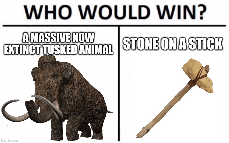 A MASSIVE NOW EXTINCT TUSKED ANIMAL; STONE ON A STICK | made w/ Imgflip meme maker