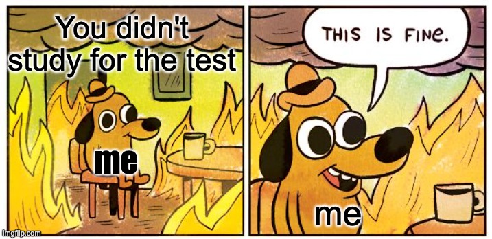 You didn't study for your test | You didn't study for the test; me; me | image tagged in memes,this is fine | made w/ Imgflip meme maker
