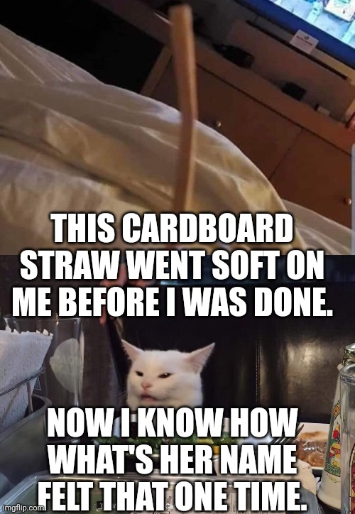 THIS CARDBOARD STRAW WENT SOFT ON ME BEFORE I WAS DONE. NOW I KNOW HOW WHAT'S HER NAME FELT THAT ONE TIME. | image tagged in smudge the cat | made w/ Imgflip meme maker