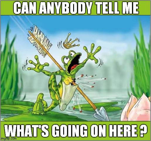 A Strange Weird Cartoon ! | CAN ANYBODY TELL ME; WHAT'S GOING ON HERE ? | image tagged in cartoon,frog,king,arrow,help me,dark humour | made w/ Imgflip meme maker