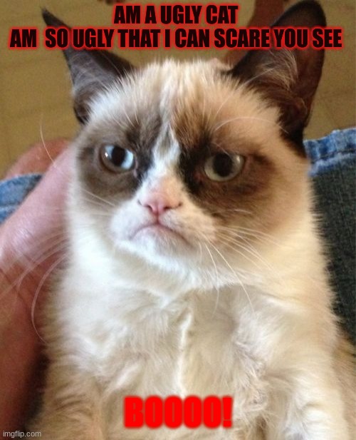 Grumpy Cat | AM A UGLY CAT 
AM  SO UGLY THAT I CAN SCARE YOU SEE; BOOOO! | image tagged in memes,grumpy cat | made w/ Imgflip meme maker