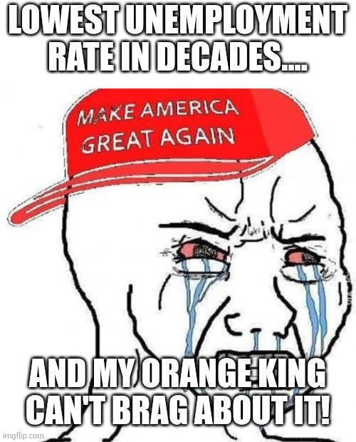 Biden booommm | LOWEST UNEMPLOYMENT RATE IN DECADES.... AND MY ORANGE KING CAN'T BRAG ABOUT IT! | image tagged in conservative,republican,biden,trump,trump supporter,democrat | made w/ Imgflip meme maker