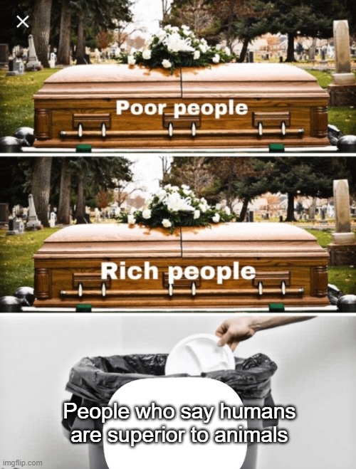 srsly, it pains me | People who say humans are superior to animals | image tagged in coffin coffin trash can | made w/ Imgflip meme maker