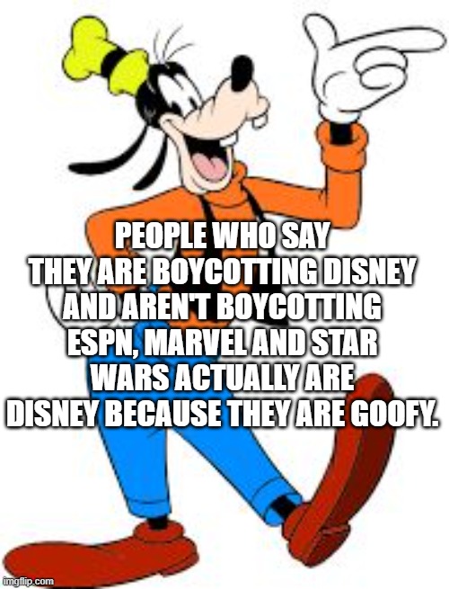 goofy | PEOPLE WHO SAY THEY ARE BOYCOTTING DISNEY AND AREN'T BOYCOTTING ESPN, MARVEL AND STAR WARS ACTUALLY ARE DISNEY BECAUSE THEY ARE GOOFY. | image tagged in goofy | made w/ Imgflip meme maker