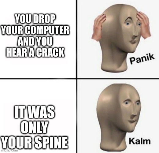 FYEW!!! | YOU DROP YOUR COMPUTER AND YOU HEAR A CRACK; IT WAS ONLY YOUR SPINE | image tagged in panik kalm,computer,relatable | made w/ Imgflip meme maker