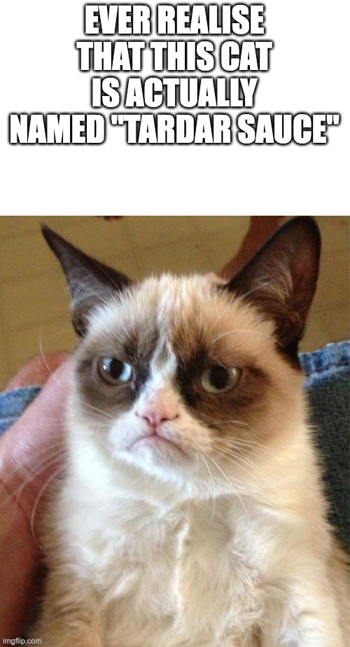 Grumpy Cat | EVER REALISE THAT THIS CAT IS ACTUALLY NAMED "TARDAR SAUCE" | image tagged in memes,grumpy cat | made w/ Imgflip meme maker