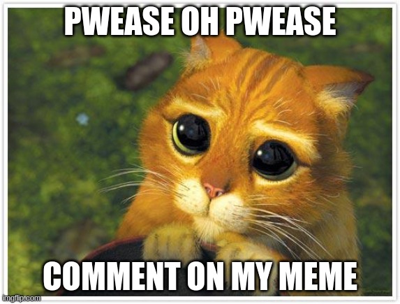 PWEASE OH PWEASE COMMENT ON MY MEME | image tagged in memes,shrek cat | made w/ Imgflip meme maker