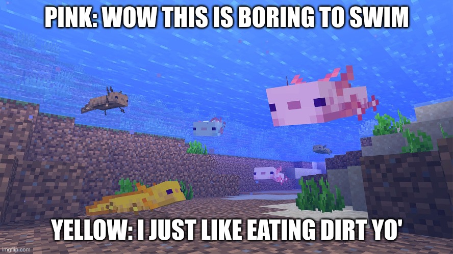 PINK: WOW THIS IS BORING TO SWIM; YELLOW: I JUST LIKE EATING DIRT YO' | image tagged in minecraft,axolotl | made w/ Imgflip meme maker
