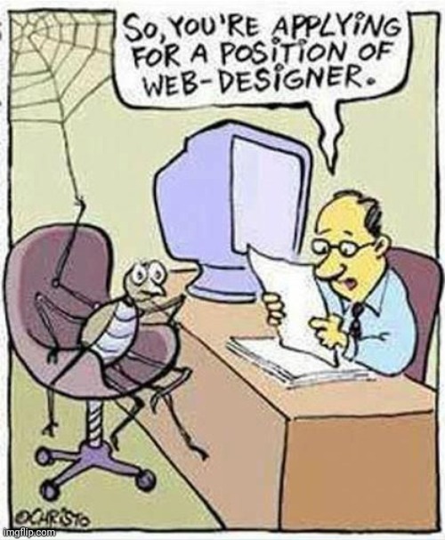 Yes, a spider web-designer | image tagged in comics/cartoons,comics,comic,spiders,spider,web designer | made w/ Imgflip meme maker