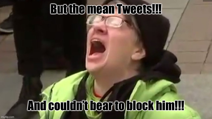 Screaming Liberal  | But the mean Tweets!!! And couldn’t bear to block him!!! | image tagged in screaming liberal | made w/ Imgflip meme maker