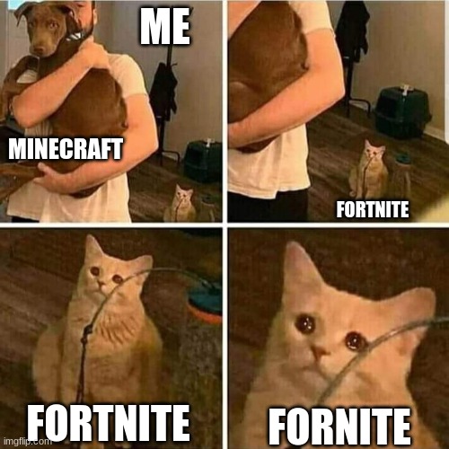 Sad Cat Holding Dog | ME; MINECRAFT; FORTNITE; FORTNITE; FORNITE | image tagged in sad cat holding dog | made w/ Imgflip meme maker