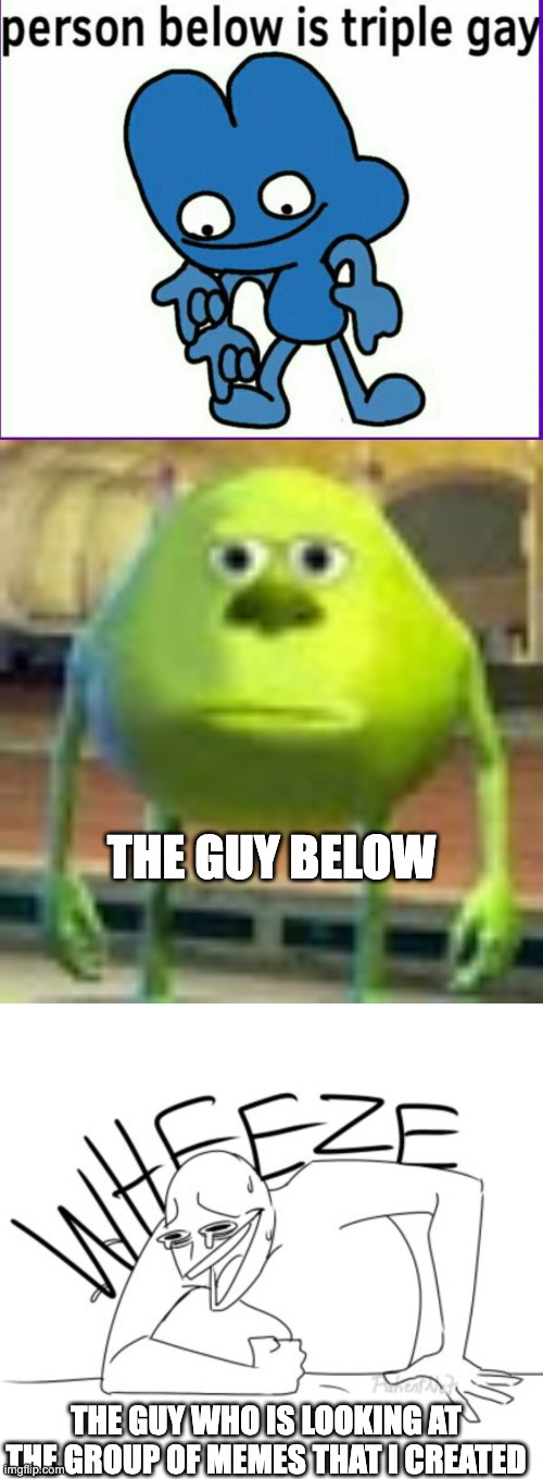 THE GUY BELOW; THE GUY WHO IS LOOKING AT THE GROUP OF MEMES THAT I CREATED | image tagged in bfb 4 triple gay,sully wazowski,wheeze | made w/ Imgflip meme maker