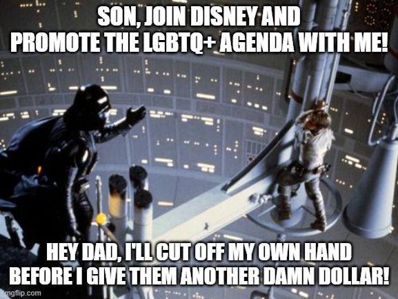 Join Disney with Me! | SON, JOIN DISNEY AND PROMOTE THE LGBTQ+ AGENDA WITH ME! HEY DAD, I'LL CUT OFF MY OWN HAND BEFORE I GIVE THEM ANOTHER DAMN DOLLAR! | image tagged in luke skywalker and darth vader | made w/ Imgflip meme maker