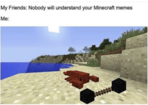 image tagged in memes | made w/ Imgflip meme maker