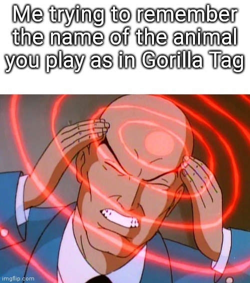 Monke geam | Me trying to remember the name of the animal you play as in Gorilla Tag | image tagged in professor x | made w/ Imgflip meme maker