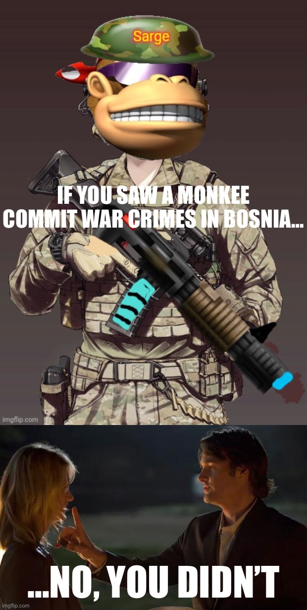 IF YOU SAW A MONKEE COMMIT WAR CRIMES IN BOSNIA… …NO, YOU DIDN’T | image tagged in surlykong,finger shhh | made w/ Imgflip meme maker