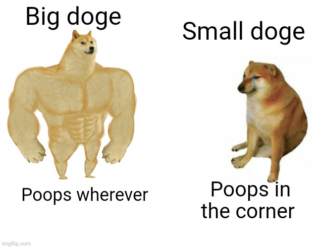 Buff Doge vs. Cheems Meme | Big doge Poops wherever Small doge Poops in the corner | image tagged in memes,buff doge vs cheems | made w/ Imgflip meme maker