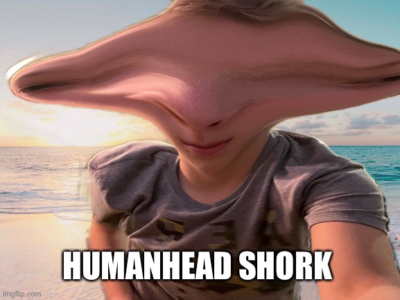 Huh | HUMANHEAD SHORK | image tagged in i am smort | made w/ Imgflip meme maker