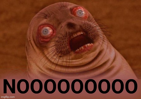 Surprised Seal | NOOOOOOOOO | image tagged in surprised seal | made w/ Imgflip meme maker