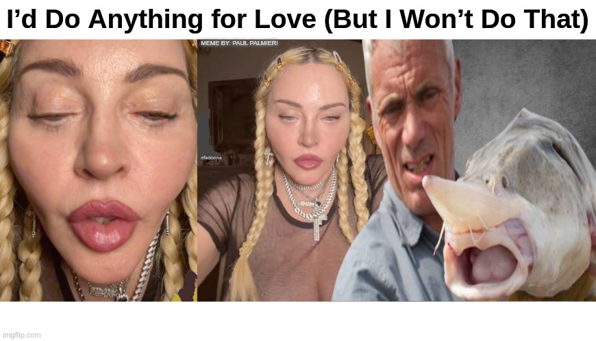 MAGONNA: LIKE A STURGEON | I’d Do Anything for Love (But I Won’t Do That); MEME BY: PAUL PALMIERI | image tagged in madonna,tiktok,grammys,like a virgin madonna,funny memes,plastic surgery | made w/ Imgflip meme maker