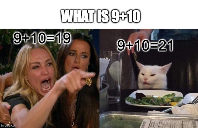 Lol | WHAT IS 9+10; 9+10=19; 9+10=21 | image tagged in memes,woman yelling at cat | made w/ Imgflip meme maker