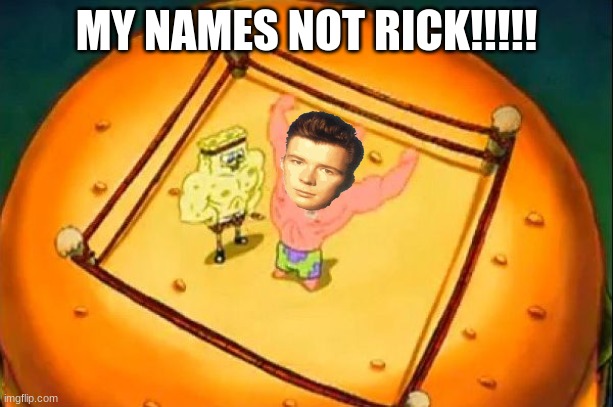 My Name Is Not Rick | MY NAMES NOT RICK!!!!! | image tagged in my name is not rick | made w/ Imgflip meme maker