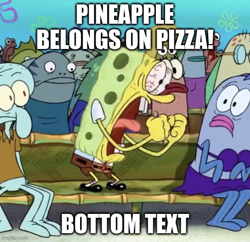 Spongebob Yelling | PINEAPPLE BELONGS ON PIZZA! BOTTOM TEXT | image tagged in spongebob yelling | made w/ Imgflip meme maker