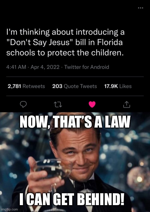 Not every kid is a Jesus freak. | NOW, THAT’S A LAW; I CAN GET BEHIND! | image tagged in memes,leonardo dicaprio cheers,dont say gay,dont say jesus | made w/ Imgflip meme maker