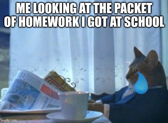 I Should Buy A Boat Cat Meme | ME LOOKING AT THE PACKET OF HOMEWORK I GOT AT SCHOOL | image tagged in memes,i should buy a boat cat | made w/ Imgflip meme maker