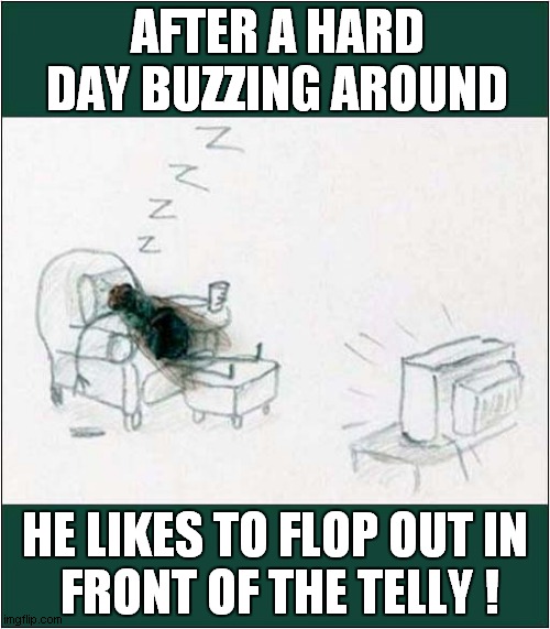 Dead Fly Art | AFTER A HARD DAY BUZZING AROUND; HE LIKES TO FLOP OUT IN
 FRONT OF THE TELLY ! | image tagged in art,dead,fly,dark humour | made w/ Imgflip meme maker