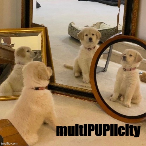 multiPUPlicity | image tagged in puppy | made w/ Imgflip meme maker